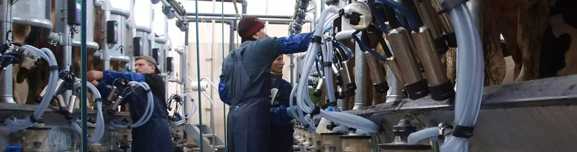 Для кожної ферми!