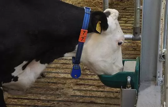 Автонапувалка DBL4-G micro - Зображення 2