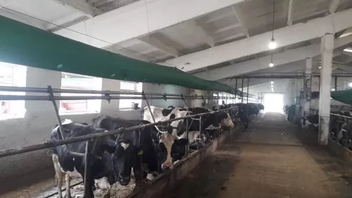 Охолоджувач повітря AIR COOLER - Зображення 4