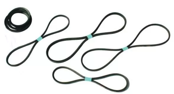 Ремінь вакуумної установки GPV 1500/2200 9000789