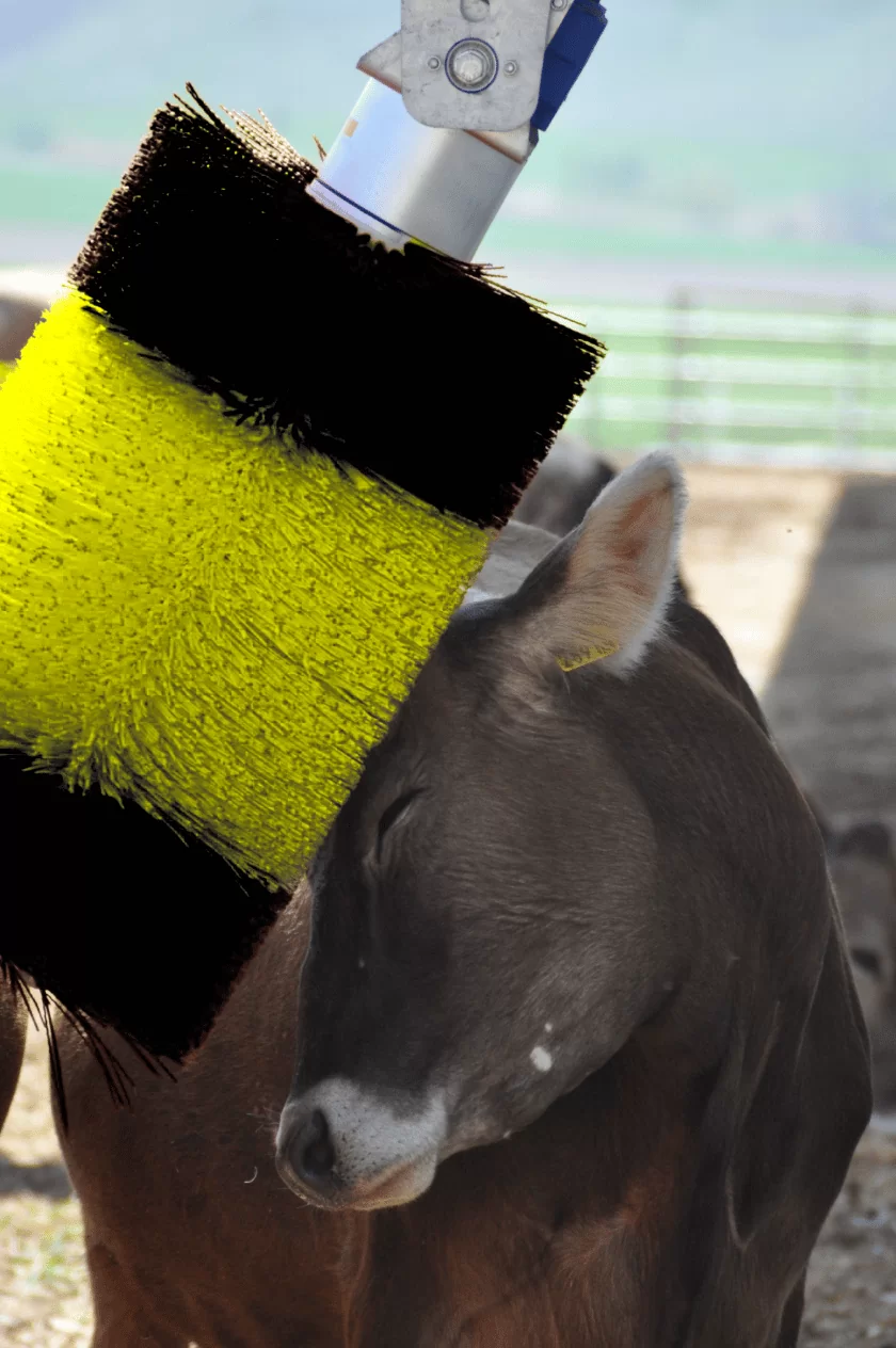 Автоматична щітка для корів KM05018 - Зображення 3